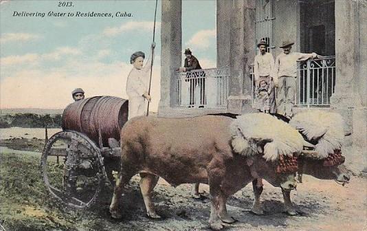 Oxen and Water Wagon Delivering Water To Ressidences In Cuba