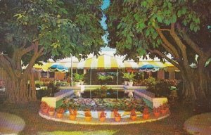 Florida Fort Lauderdale Terrace Patio 1960