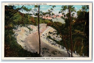 c1930's Looking Down The Eastern Slope Taconic Trail Petersburg NY Postcard