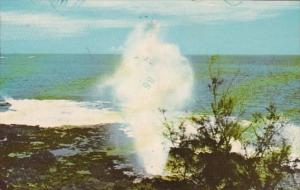 Hawaii Kauai Spouting Horn Natural Sea Geyser 1977
