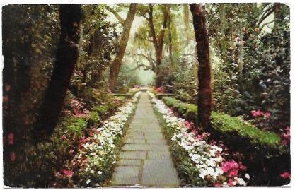 Beautiful Walkway at Bellingrath Gardens, Mobile, Alabama 1955.
