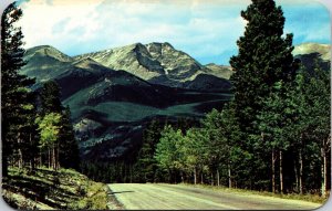Mt Ypsilon Trail Ridge Rd Rocky Mountain National Park Colorado CO Postcard VTG  