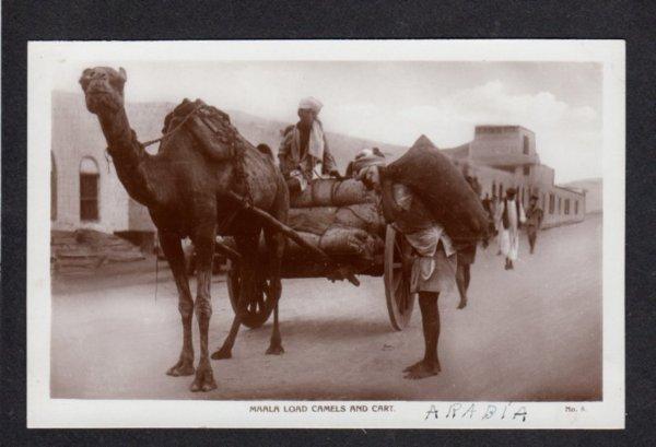 ADEN Maala Load Camels Cart Postcard RPPC Real Photo PC Carte Postale