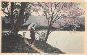 br104250 cherry blossom arashiyama kyoto japan