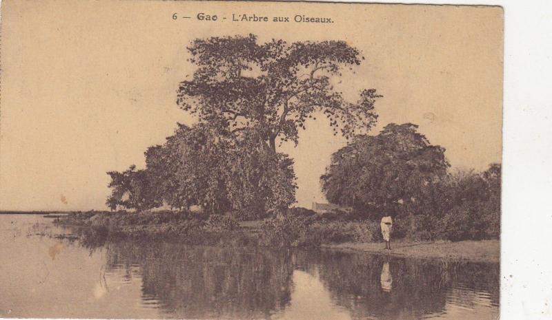 B81058 gao l arbre aux oiseaux sudan front/back image