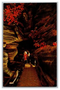 Near Witches Window Witches Gulch Upper Dells WI Vintage Standard View Postcard 