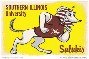 Illinois Carbondale Mascot Salukis Southern Illinois University