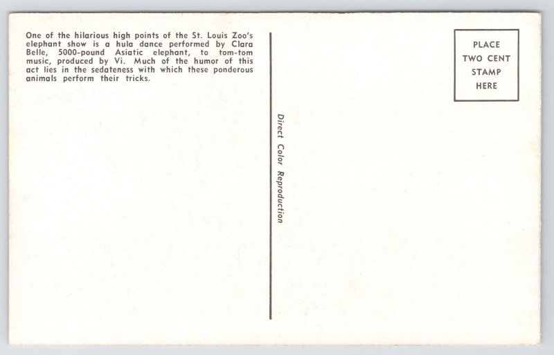 Linen~Elephant Show~Hula Dance~St Louis Zoo~Clara Belle~Circus Comedy~c1952 PC