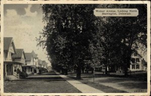 Harrington Delaware DE Weiner Ave 1930s Postcard