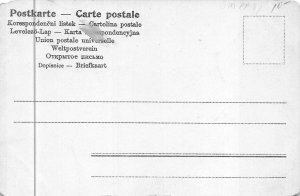 HAPPY NEW YEAR HOLIDAY DRESSED ANIMAL PIG UMBRELLA MONEY BAG POSTCARD (c. 1905)