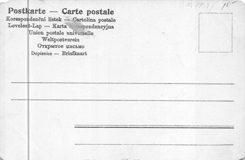 HAPPY NEW YEAR HOLIDAY DRESSED ANIMAL PIG UMBRELLA MONEY BAG POSTCARD (c. 1905)