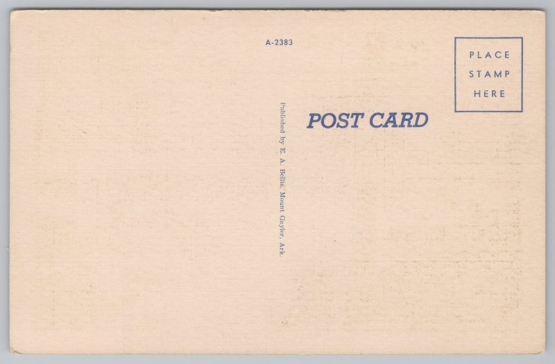 Mount Gayler Arkansas~Devil's Den State Park Lake~Bathing Beach~Linen Postcard