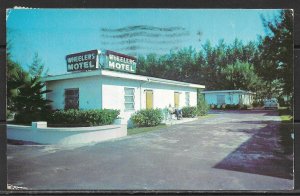 Florida, Clearwater Beach - Wheelers Motel - [FL-375]