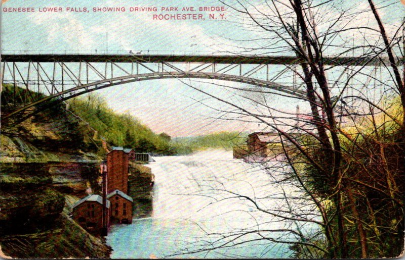 New York Rochester Genese Lower Falls Showing Driving Park Avenue Bridge 1907