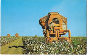 Cotton Picking Machine Cotton Farming