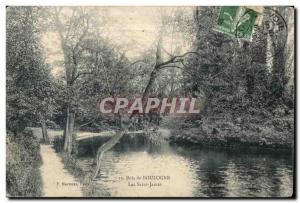 Old Postcard Bois de Boulogne lake saint james