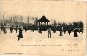 CPA LONS-le-SAUNIER - Le Patinage au Parc (211479)