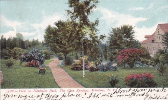 New York Watkins Glen View On Nauheim Park The Glen Springs 1908