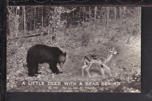 A Little Deer with a Bear Behind Postcard 