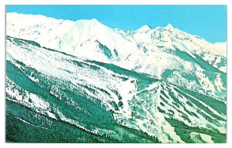 1960s Big Burn Snowfield and Baldy Mountain Ski Trails, Aspen Postcard