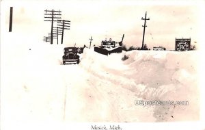 Winter Scene in Mesick, Michigan