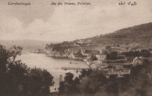 Turkey Postcard - Constantinople - Iles Des Princes, Prinkipo     RS21155