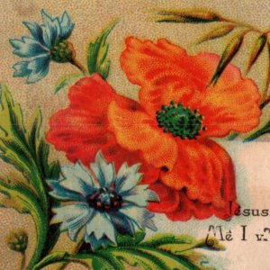 1870s Victorian Religious Trade Card Bible Quote Poppy & Corn Flowers F136