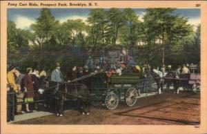 Brooklyn NY Prospect Park Pony Cart Ride NICE LINEN Postcard