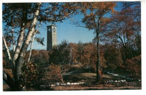 The Dingle, Halifax, Nova Scotia