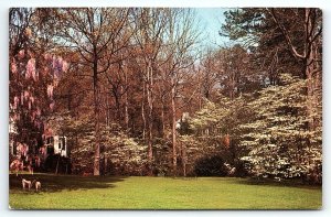 1950s ATLANTA GA GREETINGS FROM THE DOGWOOD CITY UNPOSTED POSTCARD P3839