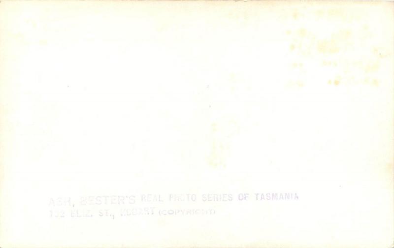 RPPC Postcard Eagelhawk Neck Isthmus Tasmania Australia A.B. Series #138
