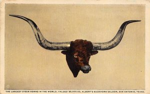 Steer Horns In The World Albert's Buckhorn Saloon - San Antonio, Texas TX  