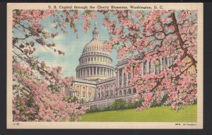 DC WASHINGTON Lovely View U. S. Capitol through the Cherry Blossoms ~ LINEN