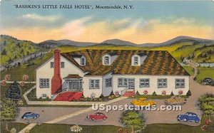 Rashkin's Little Falls Hotel - Mountaindale, New York NY  