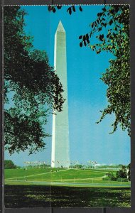 Washington DC - Washington Monument - [DC-310]