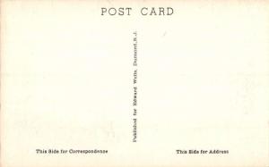 Lakeville Connecticut Main Street Post Office Antique Postcard K98960