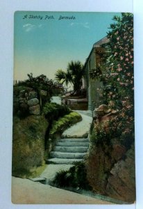 Bermuda Stone Steps Winding Path Flowers Palm Trees Vintage Postcard 