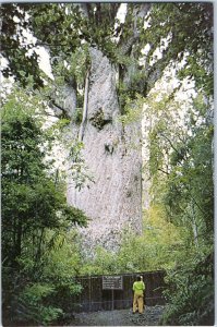 Te Matua Ngahere Father of the Forest Waipoua Forest New Zealand Postcard