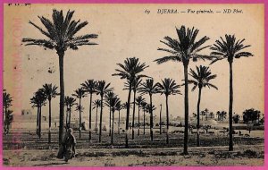 ag3999 - TUNISIA - VINTAGE POSTCARD - 1910 - Djerba-