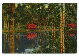 AL - Mobile. Folder, Bellingrath Gardens  16 Views & Narrative