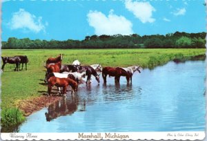 Postcard MI Marshall Watering Horses