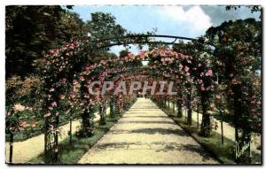 Modern Postcard The rose garden of Roses & # 39hay