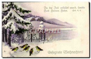 Old Postcard Fancy Weihnachten Joyeux Noel (oiseaus)