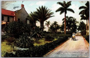 1911 Clark's Trail Road To Jungle Palm Beach Florida Attractions Posted Postcard