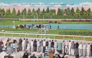 Horse Racing Running On The Turf Hialeah Park Miami Florida