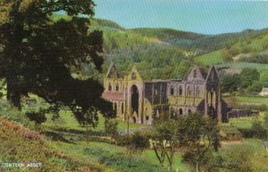 Wales Postcard - Tintern Abbey - Chepstow - Monmouthshire - Ref TZ3354