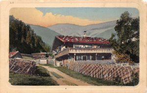 MOTIVE aus dem SCHMITTENTAL bei ZELL am SEE AUSTRIA~TINTED PHOTO POSTCARD