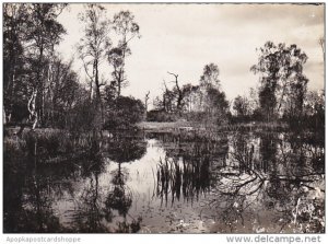 France Fontainbleau Le Palais La Foret aux Fees