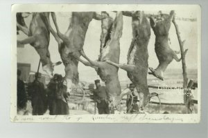 Medora NORTH DAKOTA RPPC 1908 HUNTING SCENE Deer TROPHY BUCKS nr Dickinson