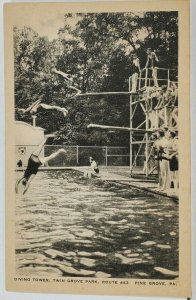 Pine Grove Pa Diving Tower Twin Grove Park Route 443 c1920s-30s Postcard M2